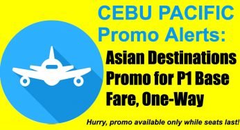 cheap flights dxb to clark