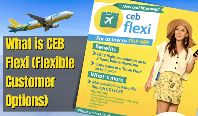 What is CEB Flexi (Cebu Pacific Flexible Customer Options)?