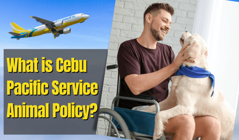 What is Cebu Pacific Service Animal Policy?