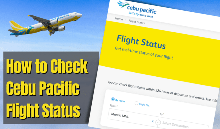 How to Check Cebu Pacific Flight Status